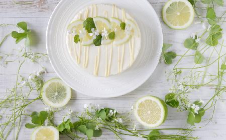 Obłędny sernik Maragarita o smaku limonki i tequili: pyszny deser tylko dla dorosłych